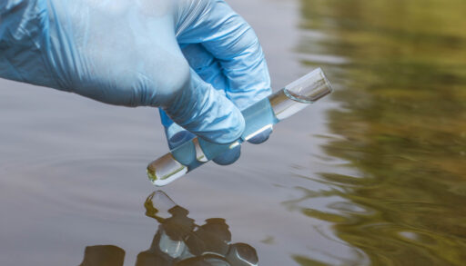 A blue-gloved hand takes a glass sample of water from brown-green water
