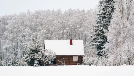 Small wooden cottage surrounded by snow-covered trees.