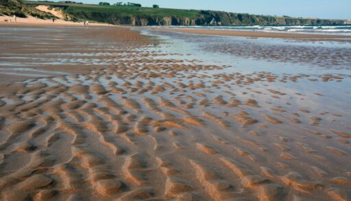 Low tide revealing holes in sand bottom