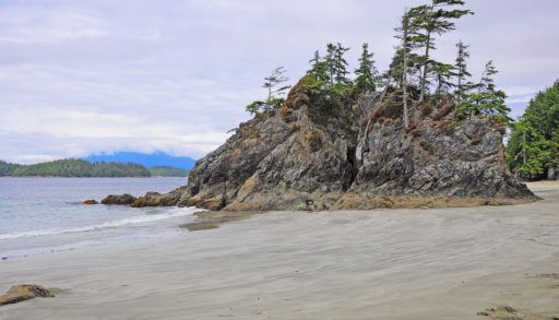 Rocky cliff on Brady's Beach covered with trees.