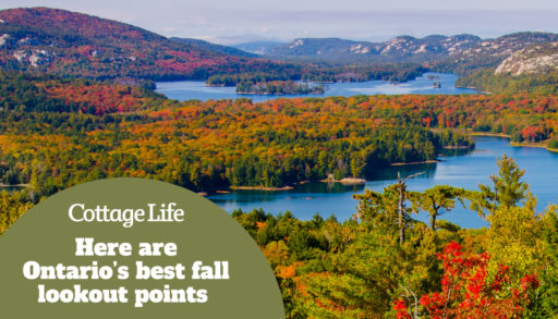 Long lens photograph of the fall leaves at Killarney Provincial Park