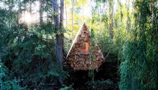 front-facing shot of the bird hut in the trees with beautiful sunlight streaming in