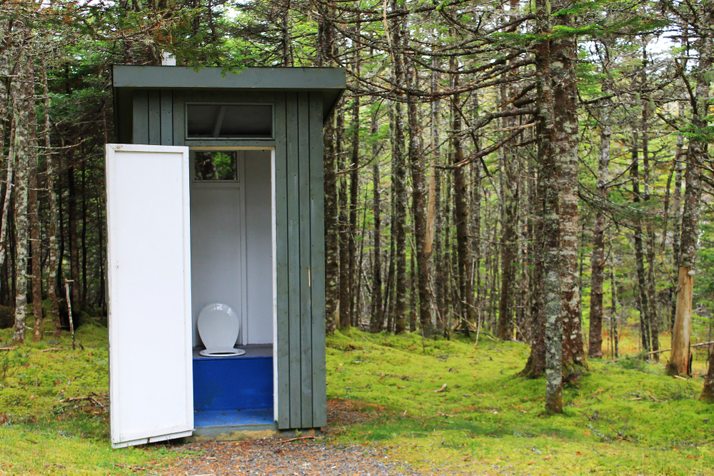 An outhouse in the woods with its door standing open