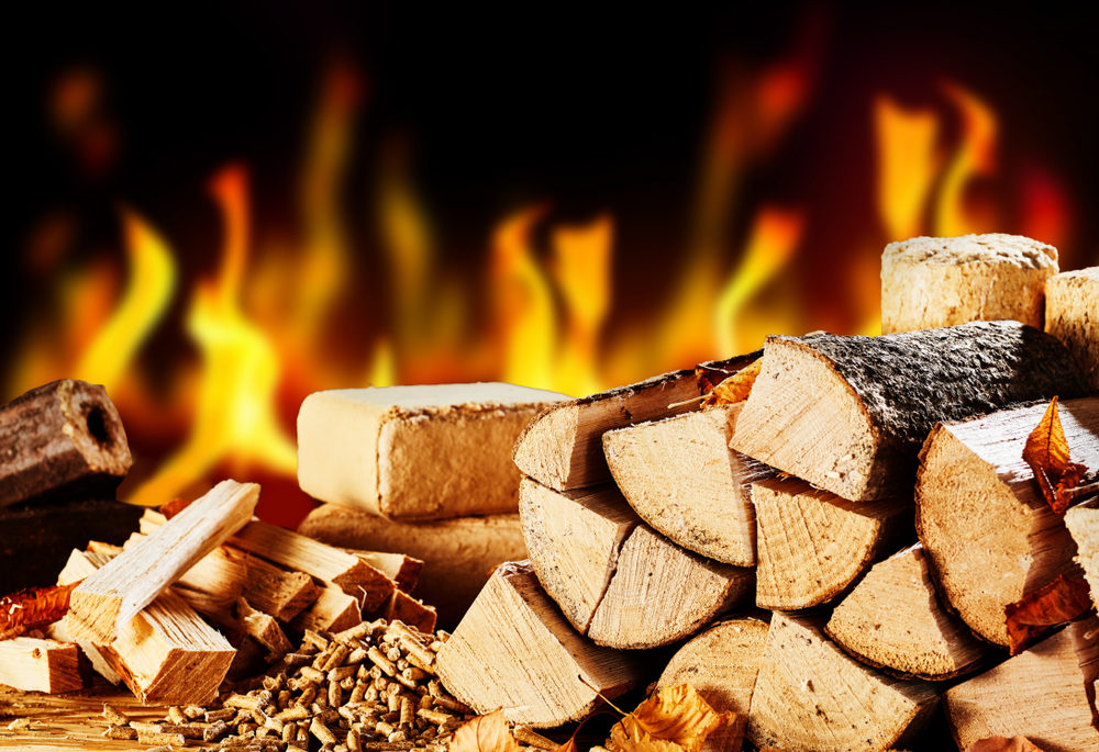 Stacked firewood in front of a burning fire