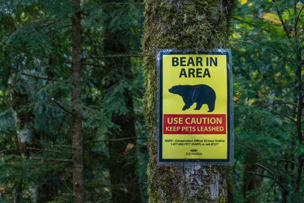 bear in the area sign