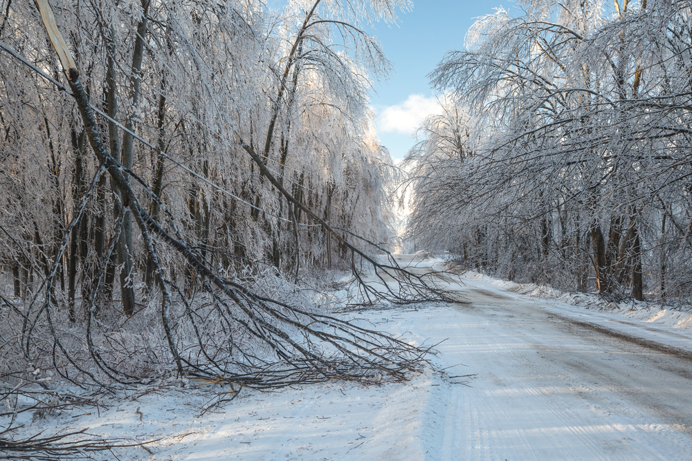 The after effects of an ice storm in winter. Trees and tree branches down on a snowy rural road after a storm, power outage