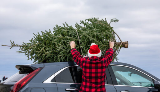 A person in a plaid shirt and sata hat loading a tree onto their car