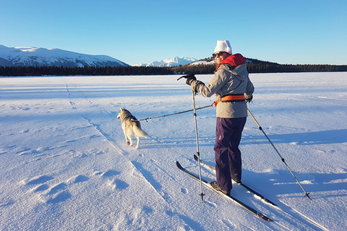 Image of Fiona McGlynn skijoring with her dogs on a sunny day