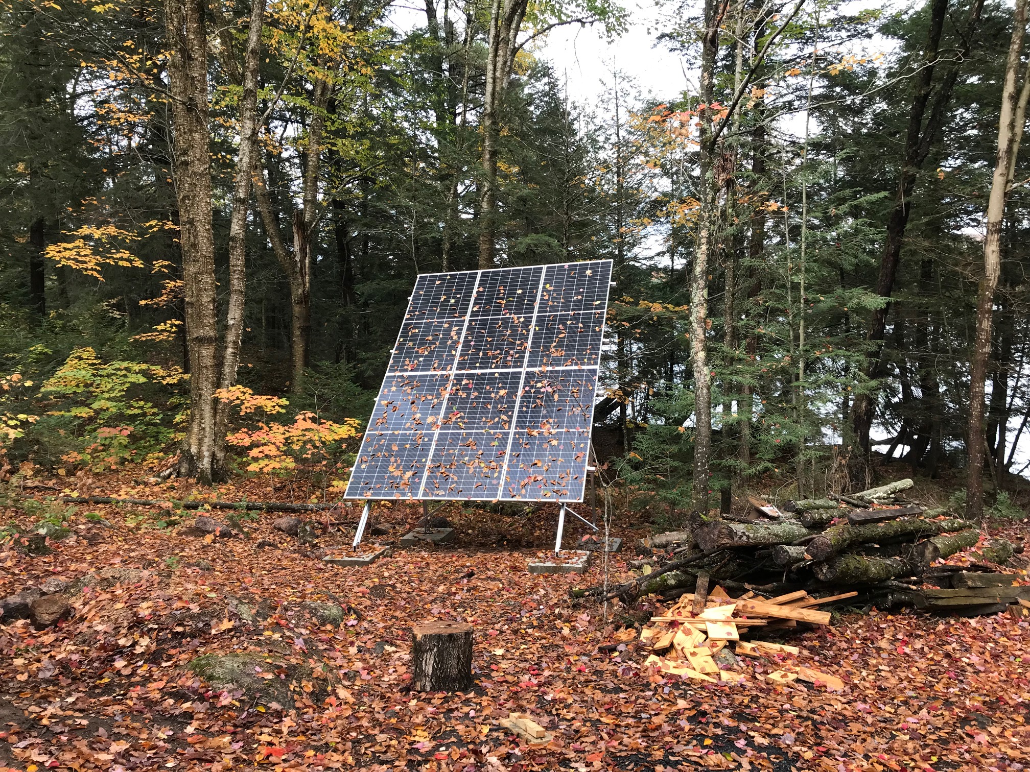 Big solar panels sit outdoors in a clearing of a wooded area..