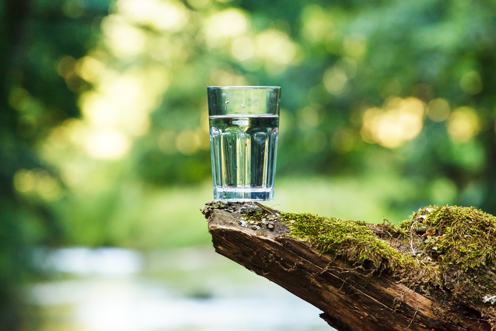 A glass of water resting on a moss covered rock