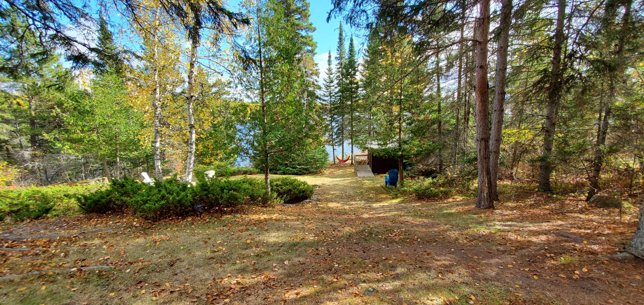 A sloping outdoor space with lots of trees, a hammock, and a fire pit. Blue lake peeks between the trees.
