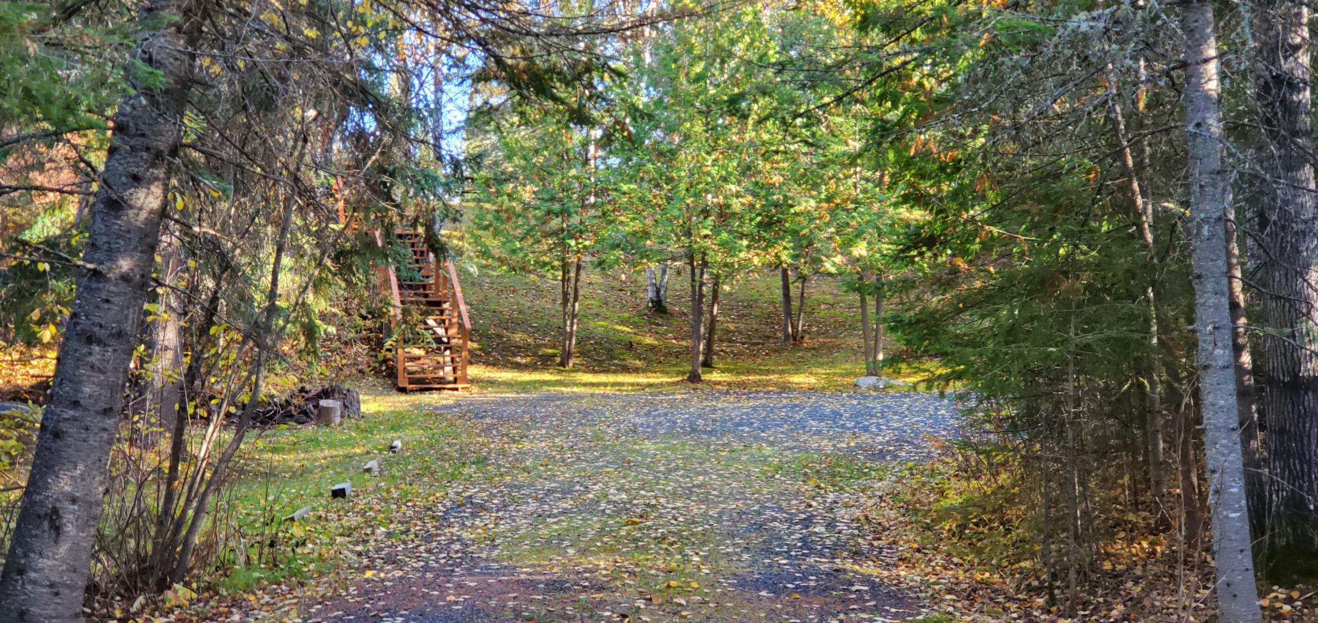 A gravel driveway opens up into a parking area of a cottage property, beside stairs leading up.