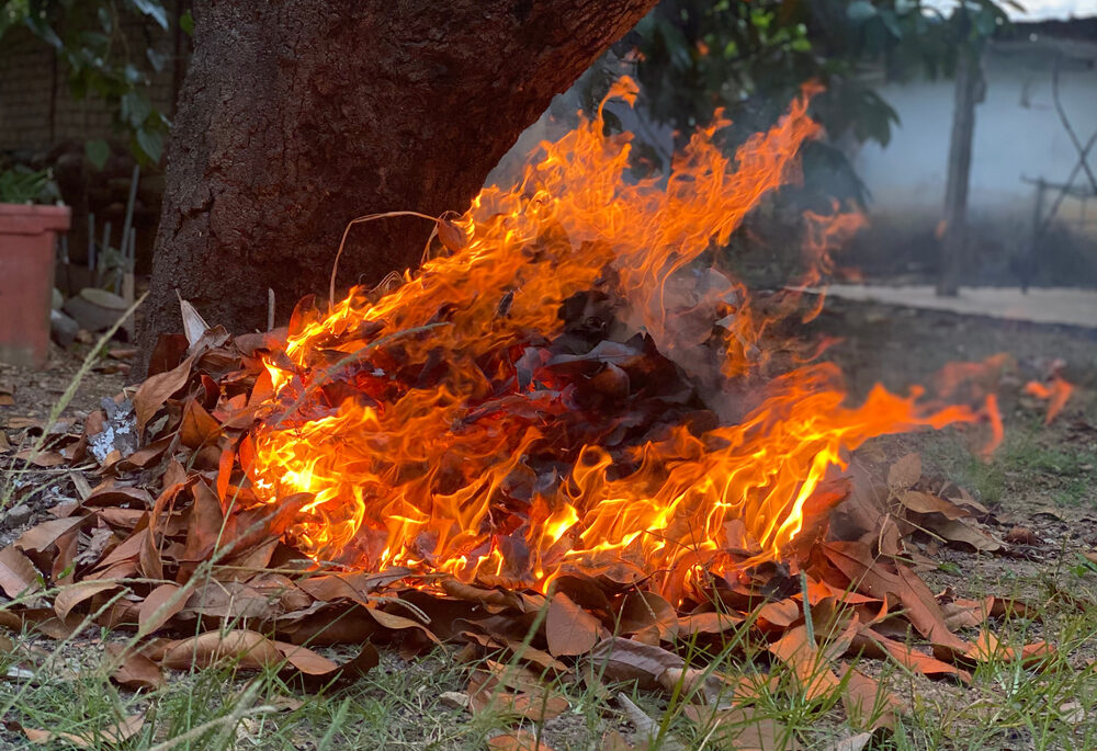 A pile of leaves burning in open-air on a property near a tree