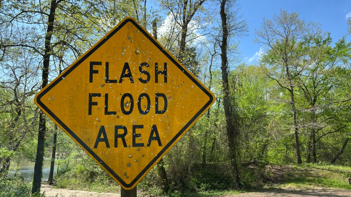 A sign that reads "flash flood area" in front of a forest area