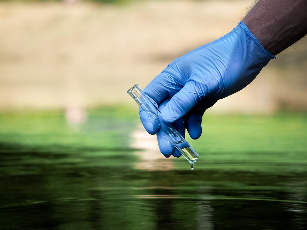 A blue-gloved hand holds a vial of water over green-tinted water.