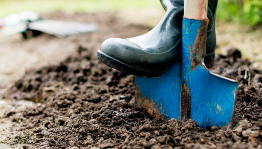 A boot pushing down on a garden shovel in soil